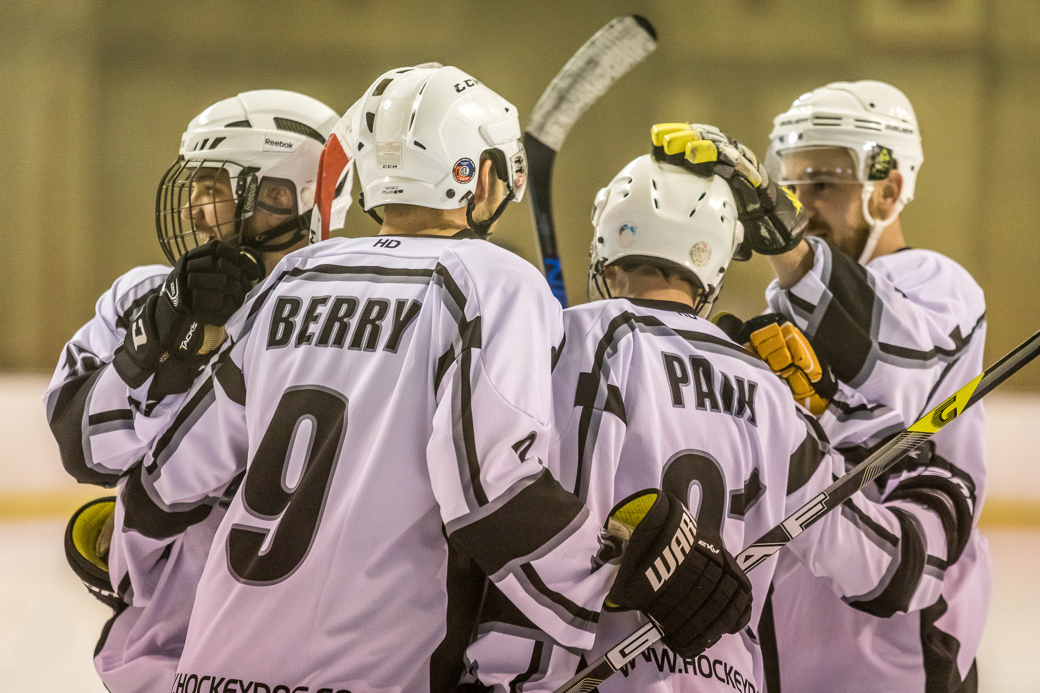 Haringey Huskies - berry